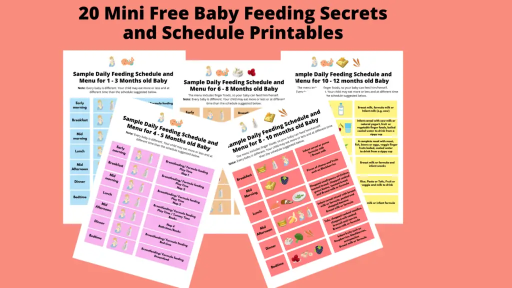 Baby Feeding schedule on PInterest - The First Time Mamma